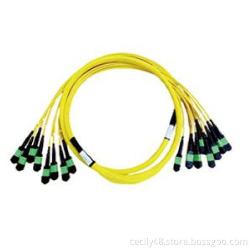 Flyin 96Fiber MTP/APC Male Elite from US Connec